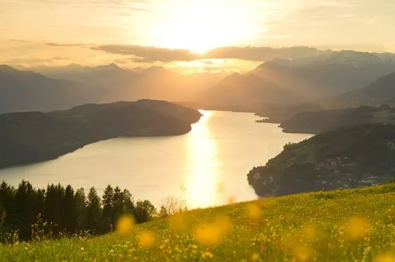 Frühling