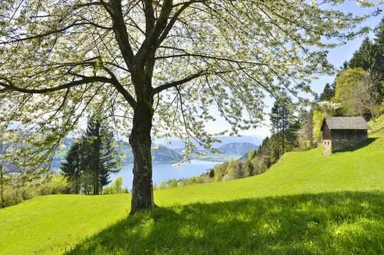 Frühling