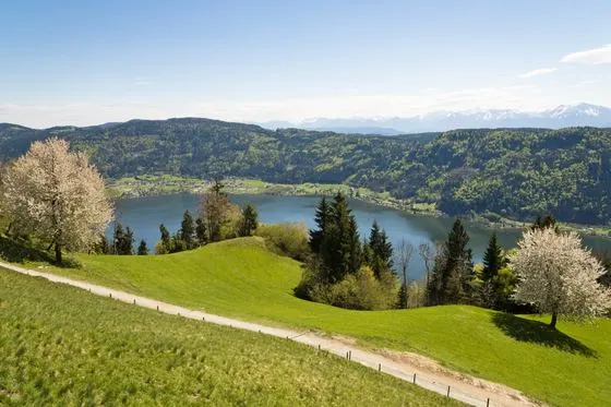 Frühling