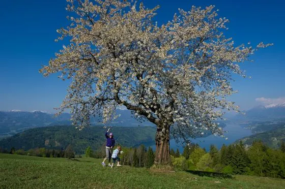 Frühling