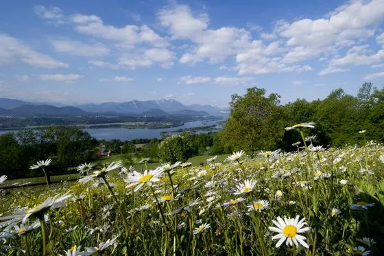 Frühling