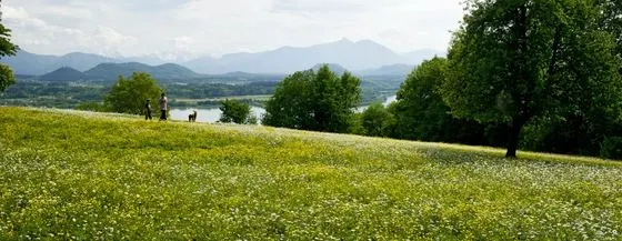 Frühling