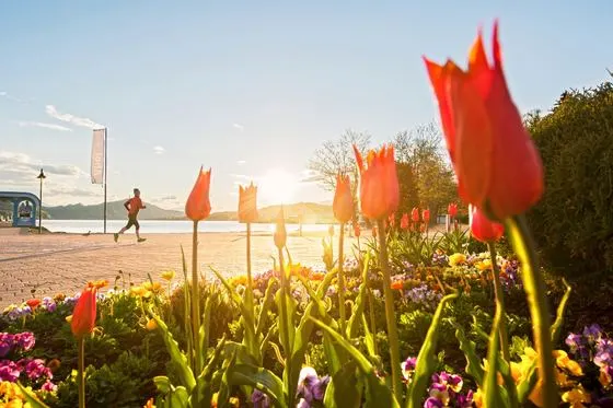 Frühling