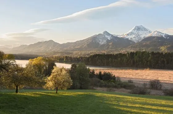 Frühling