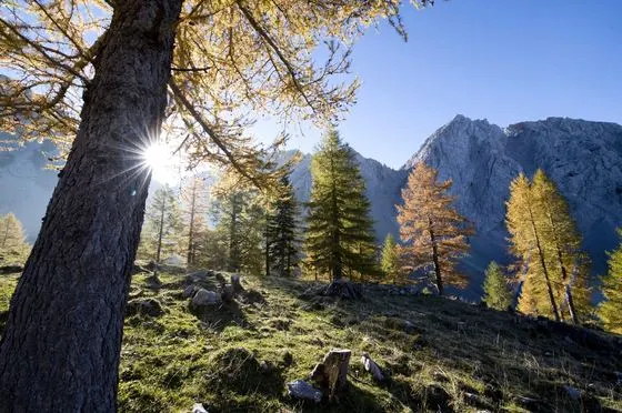 Herbst