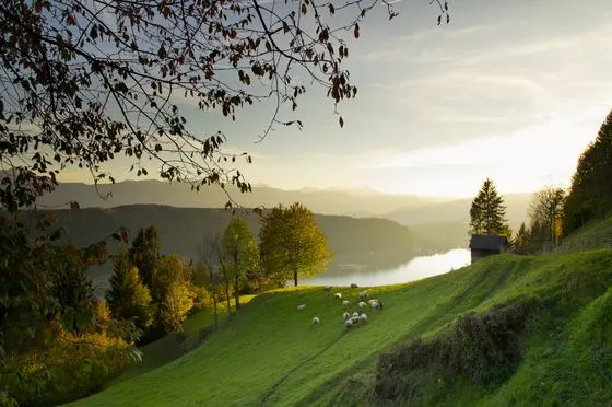 Herbst