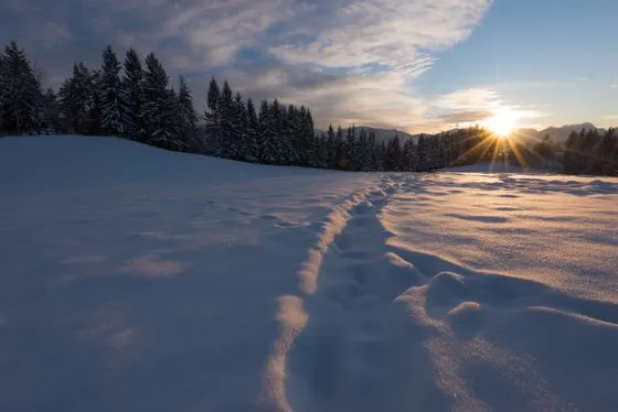 Winter
