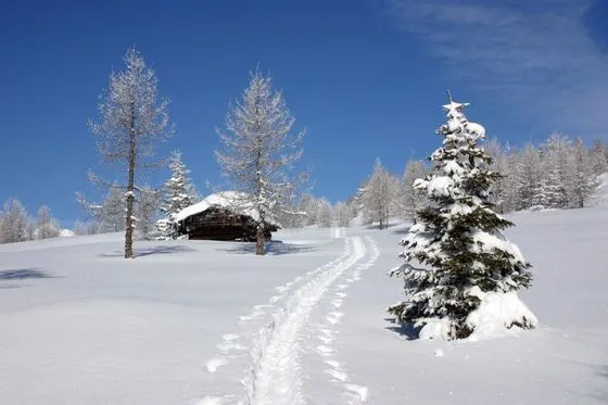 Winter